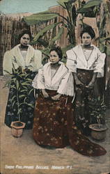 Three Philippine Belles Postcard