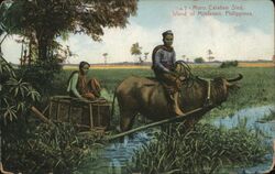 Moro Carabao Sled, Mindanao, Philippines Postcard