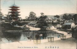 Pond of Sarusawa at Nara Postcard