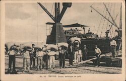 Docas, embarque de cafe Postcard