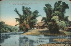 A curve in the beautiful Rio Pagsanjan, three hours distance by rail from Manila, Philippines Postcard