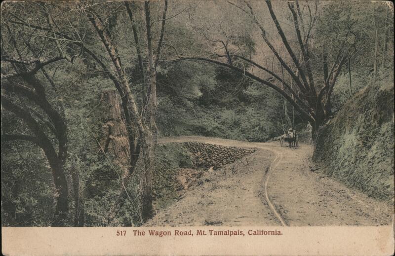 The Wagon Road Mount Tamalpais California