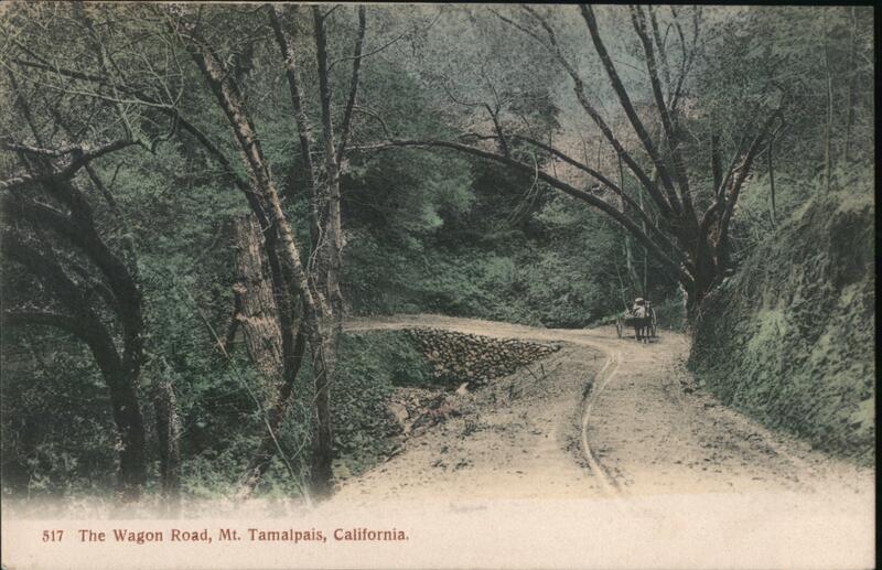 The Wagon Road Mount Tamalpais California