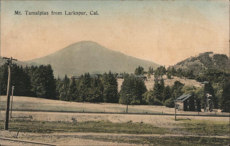 View of Mt. Tamalpais Larkspur California