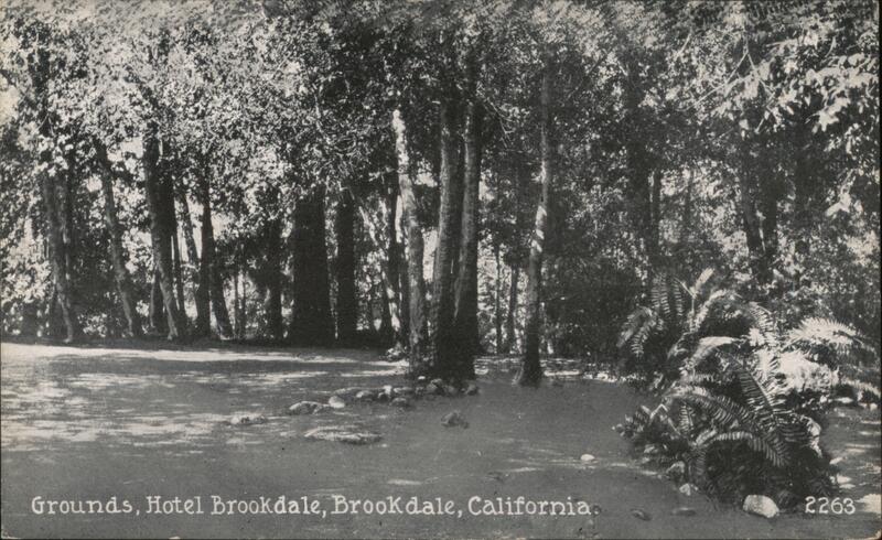 Hotel Brookdale - Grounds California