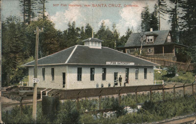 Fish Hatchery Santa Cruz California