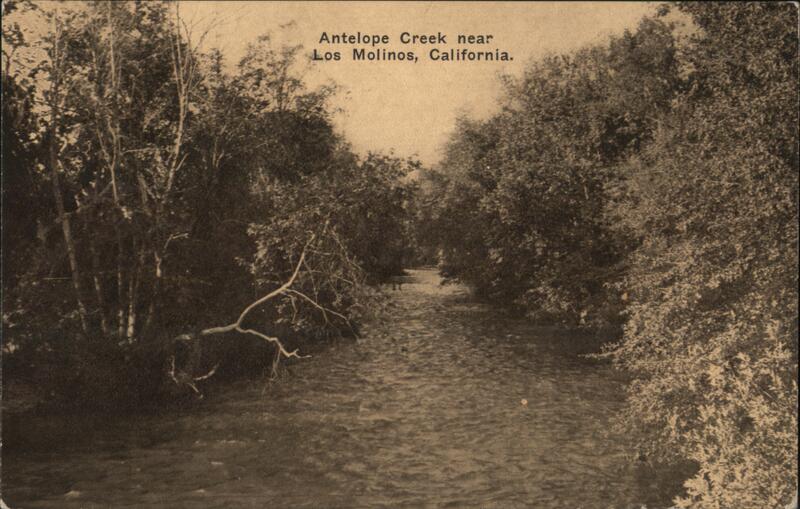 Antelope Creek Los Molinos California