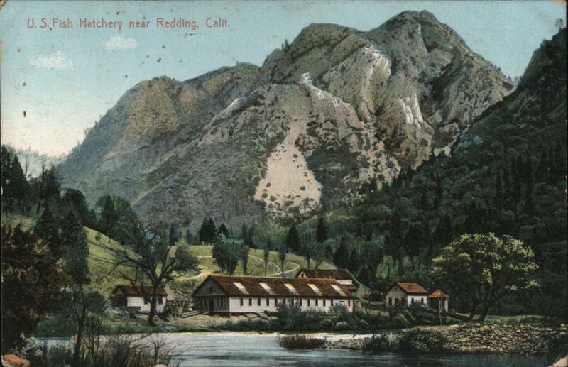 US Fish Hatchery Redding California