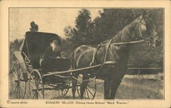 Joaquin Miller, Driving Home Behind "Black Warrior" Postcard