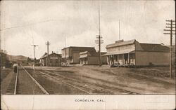 Cordelia, Cal. Postcard