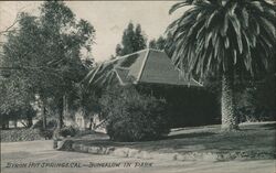 Bungalow in Park, Byron Hot Springs Postcard