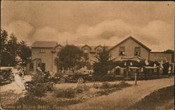 Scene at Dillon Beach, Marin County Postcard