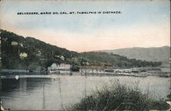 Belvedere, Marin Co. Cal. Mt. Tamalpais in Distance. Postcard