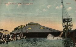 Stockton mineral baths Postcard