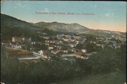 Panorama of the Town Postcard