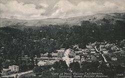 View of Town Looking Down from Miller Avenue Postcard