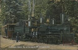 Tamalpais Scenic Railway Postcard