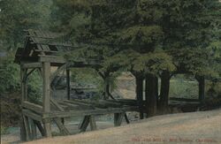 2066 Old Mill at Mill Valley, Californa Postcard