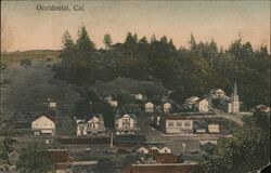 View of Town Postcard