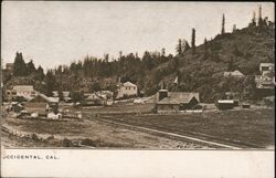 Town View Postcard
