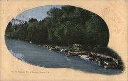 On the Russian River in Sonoma County Postcard