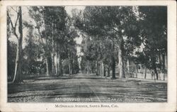 McDonald Avenue Postcard