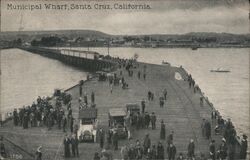 Municipal Wharf Postcard