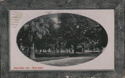 Park Scene Postcard