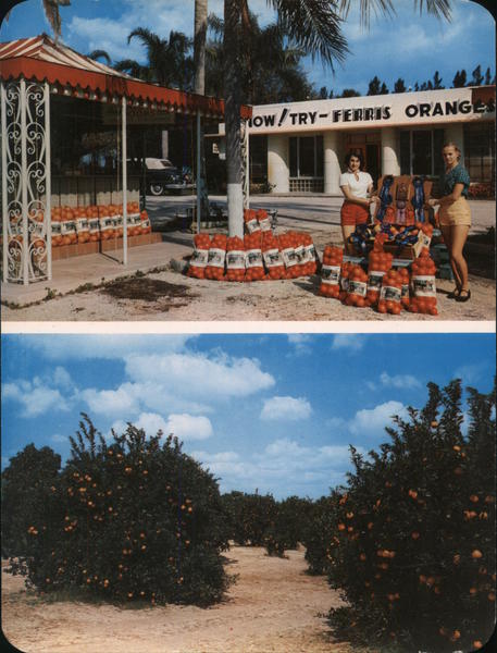 Famous Ferris Groves Floral City Florida