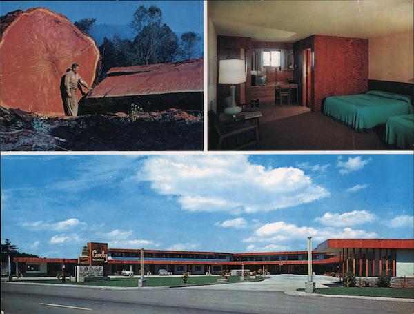 Curly Redwood Lodge Crescent City California