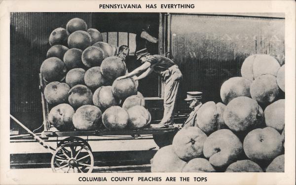 Pennsylvania Has Everything Columbia Peaches Are The Tops Bloomsburg
