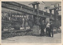 Dick Berenson and Joe Moreno with Miguel Torres Jr. at Miguel Torres Vineyards Large Format Postcard