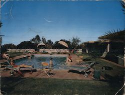 Palm Villa Large Format Postcard