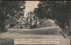 Los Angeles, California, is noted for its miles of beautiful homes with garden-like streets. Large Format Postcard