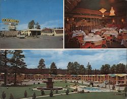 Americana Motor Hotel Flagstaff, AZ L.R. Callender Large Format Postcard Large Format Postcard Large Format Postcard