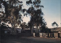 El Rancho Escondido Large Format Postcard