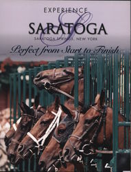 Experience Saratoga - Perfect from Start to Finish Large Format Postcard