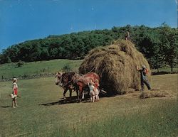 Sharpen Your Pencil - Land Bank Loans Large Format Postcard