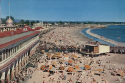 Santa Cruz Beach California Vester Dick Large Format Postcard Large Format Postcard Large Format Postcard