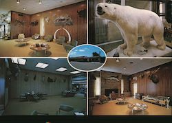 First National Bank Large Format Postcard