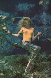 Florida's World Famous Weeki Wachee Spring of Live Mermaids Large Format Postcard