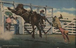 Louis Brooks Leaving Colborn's Pet Rodeos Large Format Postcard Large Format Postcard Large Format Postcard