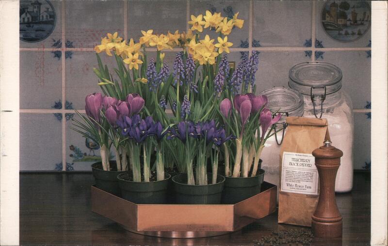 White Flower Farm Litchfield Connecticut