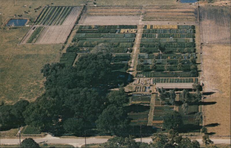 Green Bay Nursery Lakeland Florida