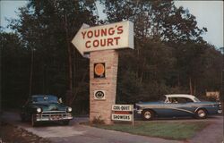 Young's Tourist Court Postcard