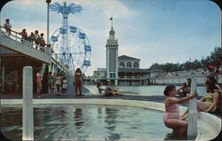 Coney Island - pool Postcard