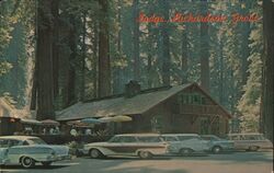 Lodge -Richardson Grove State Park - Redwood Highway Postcard
