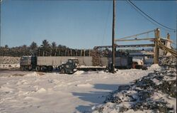 Waushara County Christmas Tree Capital Postcard