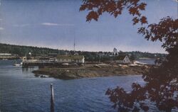 Fish Factory Sardine Packing House Postcard