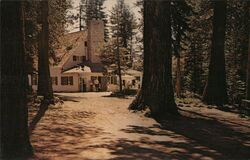Camp Sacramento Postcard